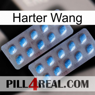 Hard Wang viagra4